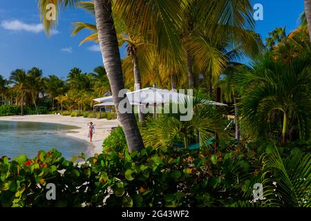 Une femme qui marche le long d'une plage dans un cadre tropical très luxuriant, avec des omnbrella qui se délgent des palmiers. Banque D'Images