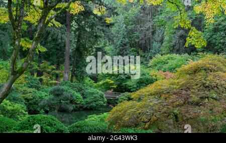 Paysage de jardin japonais avec passerelle à travers l'étang, Portland, Oregon, États-Unis Banque D'Images