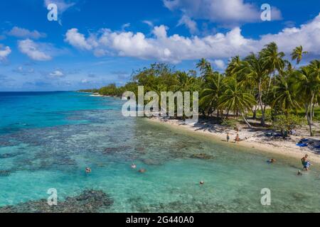 Vue aérienne des personnes se détendant sur la plage bordée de palmiers à noix de coco, l'île d'Avatoru, l'atoll de Rangiroa, les îles de Tuamotu, la Polynésie française, Pacifique Sud Banque D'Images