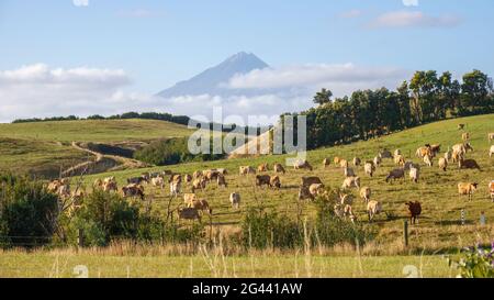 Mt Taranaki, île du nord de la Nouvelle-Zélande Banque D'Images