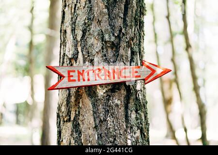 Flèche-pointeur avec l'inscription l'entrée est suspendue sur un arbre. Titre : entrée Banque D'Images