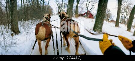 Vue depuis le traîneau tiré par des chevaux à travers la neige, Dakota du Sud, États-Unis Banque D'Images