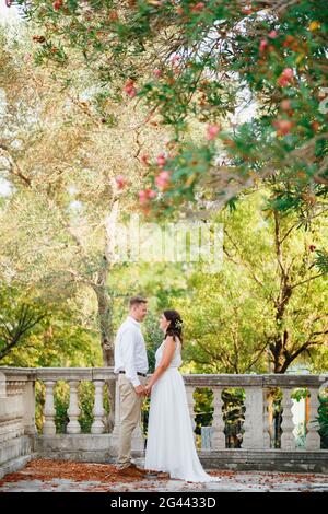 Le support de la mariée et du marié tient les mains près de la main courante sous les branches d'un arbre en fleur et regardez les uns les autres Banque D'Images