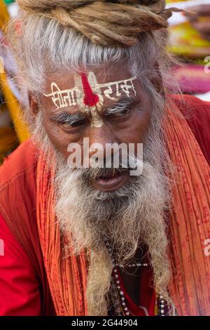 KOLKATA, BENGALE-OCCIDENTAL, INDE - 10 JANVIER 2015 : Portrait d'un vieil Indien Sadhu avec robe safran et barbe blanche sur le visage. Banque D'Images