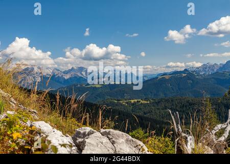 Vue sur le Steinerne Meer et le Loferer Steinberge en été, Chiemgau, Bavière, Allemagne, Pinzgau, Salzbourg, Autriche Banque D'Images