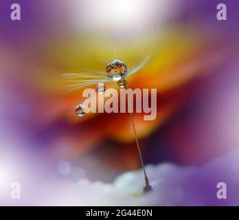 Belle nature arrière-plan.Floral Art Design.Abstract Macro Photography.pastel Flower.Dandelion . Banque D'Images