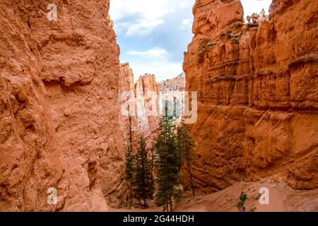 Une formation naturelle de roches de Red Rocks Hoodoos dans le parc national de Bryce Canyon, Utah Banque D'Images