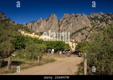 Oliveraies près de Vinya Nova, entre Collbató et el Bruc, sur le versant sud de Montserrat (Barcelone, Catalogne, Espagne) Banque D'Images