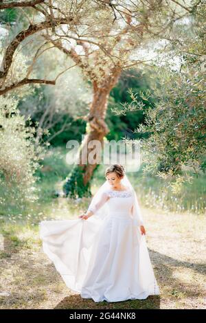 Une mariée sophistiquée se tient dans une oliveraie dans un glade inondé de lumière et tient le bord d'elle robe avec sa main Banque D'Images