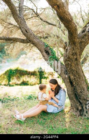 Maman est assise avec son petit fils sur ses genoux l'herbe sous l'arbre dans une oliveraie et joue avec lui Banque D'Images