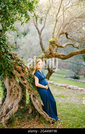 Femme enceinte souriante dans une longue robe se tient avec elle dos contre un immense arbre vert recouvert de lierre Banque D'Images