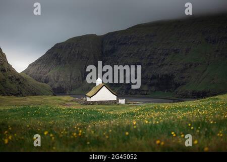 Église en prairie de fleurs dans la baie de Saksun, sur l'île de Streymoy, îles Féroé Banque D'Images