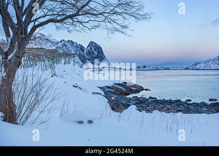 Village de pêcheurs de Reine sur les îles Lofoten la nuit, Reine, Norvège Banque D'Images