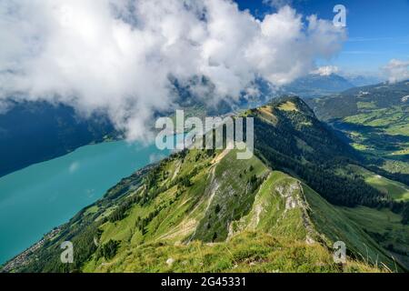 Vue sur le flanc de la prairie de l'Augstmatthorn jusqu'au lac de Brienz, depuis le Suggiturm, Augstmatthorn, Alpes Emmental, Berne, Suisse Banque D'Images