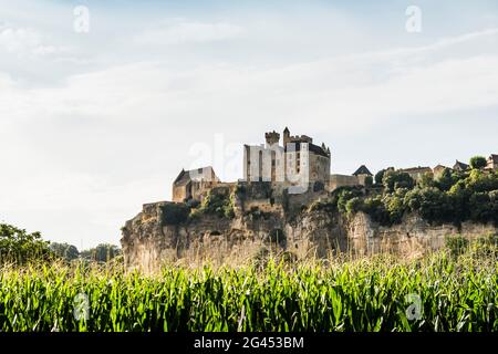 Beynac-et-Cazenac, Vitrac, Périgord, Dordogne, région Nouvelle-Aquitaine, France Banque D'Images