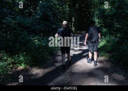 Berlin, Allemagne. 14 juin 2021. Deux hommes font une randonnée dans une forêt à Grünau. (À dpa: 'Les temps de solitude: Corona tendance de la randonnée devient plus sociable') Credit: Paul Zinken/dpa-Zentralbild/dpa/Alay Live News Banque D'Images