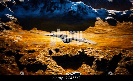 Un aigle à tête blanche américain au ralenti en vol au-dessus des montagnes de l'alaska Banque D'Images