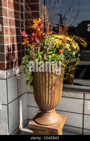 Magnifique vase de fleurs d'automne à l'extérieur d'un bureau haut de gamme et d'un spa à Forest Lake, Minnesota. Banque D'Images