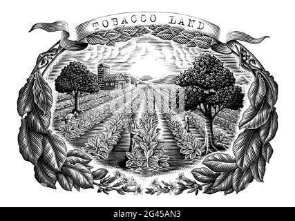 Tabac terre main dessin vintage style gravure noir et blanc clip art isolé sur fond blanc Illustration de Vecteur