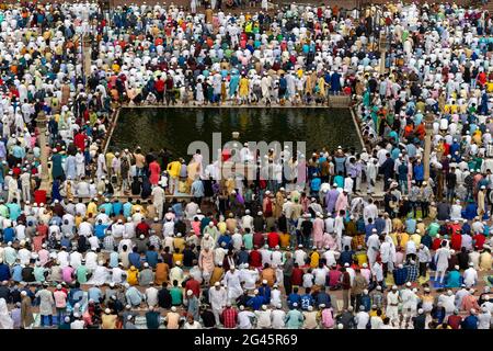 Les hommes musulmans prient autour du réservoir d'ablution en marbre de Masjid-i Jehan-Numa communément connu sous le nom de Jama Masjid de Delhi, l'une des plus grandes mosquées d'Inde. Banque D'Images
