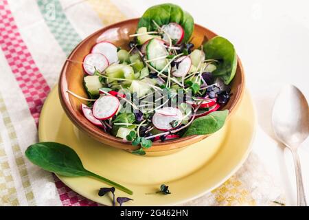 Salade végétarienne d'été avec radis, concombre, épinards et microverts Banque D'Images