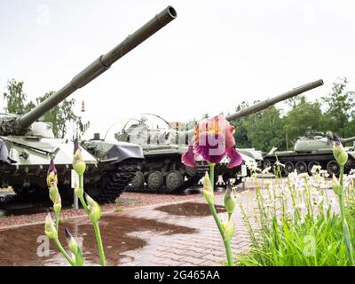 Sholohovo, région de Moscou, Russie - 8 juin 2021 : l'iris fleurit à l'extérieur du musée d'histoire du char T-34. Le fondateur du musée est Vasi Banque D'Images