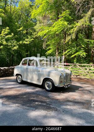 Austin A35 voiture classique des années 1950 en gris court, à l'extérieur d'une forêt le jour de l'été britannique Banque D'Images