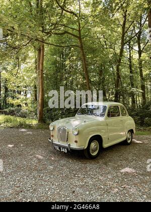 Austin A35 voiture classique des années 1950 en gris court, à l'extérieur d'une forêt le jour de l'été britannique Banque D'Images