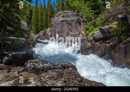 Un petit ruisseau d'eau dans la forêt nationale de Custer, Montana Banque D'Images