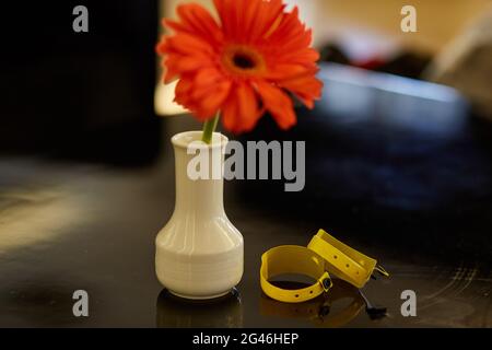 Hôtel de villégiature tout compris bracelet imperméable et fleur gerbera. Concept de vacances. Copier l'espace. Photo de haute qualité Banque D'Images