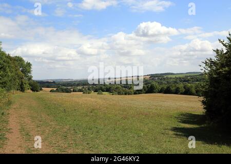 Lullingtone et Preston Hill Country Park de Beechen Wood, Lullingstone, Kent, Angleterre, Royaume-Uni Banque D'Images