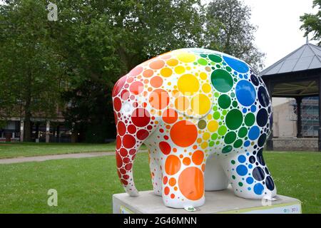 Maidstone, Kent, Royaume-Uni. 19 juin 2021. Un énorme troupeau de 81 Elmers colorés - basé sur le personnage du livre pour enfants de David McKee - a passé la nuit à Maidstone, dans le Kent, au début d'un défilé de 9 semaines en soutien au coeur de Kent Hospice. Les Elmers ont été conçus par des artistes connus et inconnus et seront mis aux enchères le 9 août pour recueillir des fonds pour l'Hospice. Crédit de 'Sunty Dotty' : Phil Robinson/Alay Live News Banque D'Images