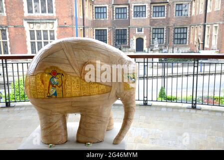 Maidstone, Kent, Royaume-Uni. 19 juin 2021. Un énorme troupeau de 81 Elmers colorés - basé sur le personnage du livre pour enfants de David McKee - a passé la nuit à Maidstone, dans le Kent, au début d'un défilé de 9 semaines en soutien au coeur de Kent Hospice. Les Elmers ont été conçus par des artistes connus et inconnus et seront mis aux enchères le 9 août pour recueillir des fonds pour l'Hospice. Crédit « Mermyphant » : Phil Robinson/Alamy Live News Banque D'Images