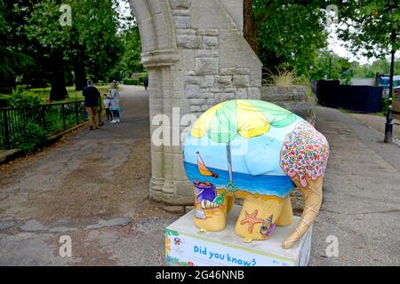 Maidstone, Kent, Royaume-Uni. 19 juin 2021. Un énorme troupeau de 81 Elmers colorés - basé sur le personnage du livre pour enfants de David McKee - a passé la nuit à Maidstone, dans le Kent, au début d'un défilé de 9 semaines en soutien au coeur de Kent Hospice. Les Elmers ont été conçus par des artistes connus et inconnus et seront mis aux enchères le 9 août pour recueillir des fonds pour l'Hospice. "À côté de la mer" Credit: Phil Robinson/Alamy Live News Banque D'Images