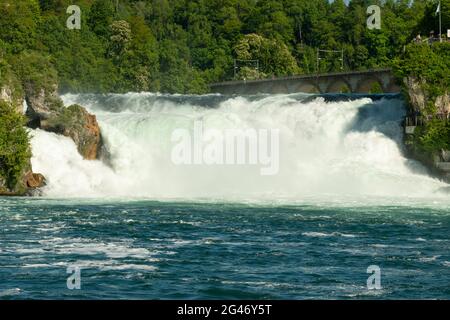 Les chutes du Rhin sont les plus grandes cascades d'Europes situées près de Schaffhausen en Suisse 28.5.2021 Banque D'Images