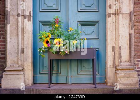 Tournesols devant une église dans la vieille ville historique de Düsseldorf en Allemagne. Banque D'Images