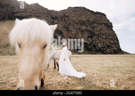 Destination Islande mariage séance photo avec des chevaux islandais. La mariée marche à travers le champ, près d'un cheval léger de pâturage. Banque D'Images