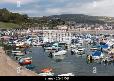 Vue de la Cobb des bateaux de pêche dans le port, Lyme Regis, Dorset, Angleterre, Royaume-Uni Banque D'Images