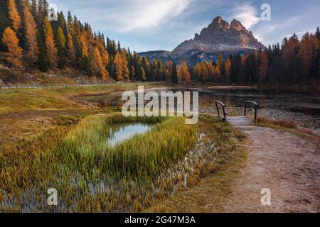 Paysage d'automne majestueux glacier alpin,lac et arbres de pin jaune, Antorno lake avec de célèbres Tre Cime di Lavaredo peaks en arrière-plan, Dolomites, ita Banque D'Images