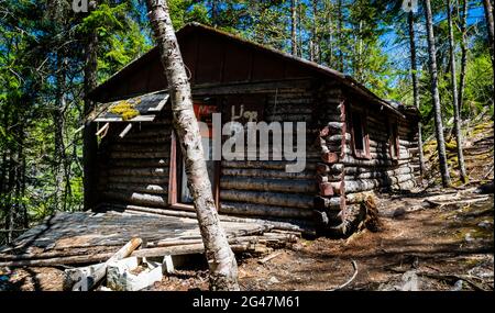 Cabane en rondins abandonnée au milieu de la nature sauvage Banque D'Images