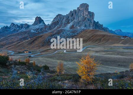 Paysage d'automne fantastique, col alpin et pins jaunes, Passo Giau avec la célèbre Ra Gusela, les sommets de Nuvolau en arrière-plan, les Dolomites, l'Italie, l'Europe Banque D'Images