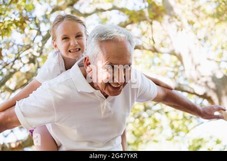 Grand-père donnant la petite-fille piggy de retour dans la forêt Banque D'Images