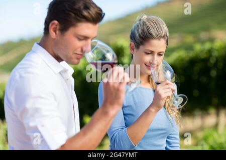 Souriant jeunes amis sentant du vin dans des verres Banque D'Images