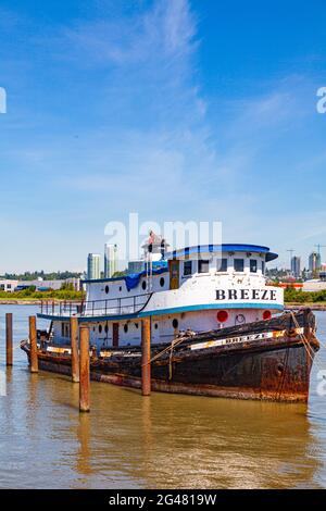 Bateau de plaisance abandonné amarré le long de la rive du fleuve Fraser à Vancouver Colombie-Britannique Canada Banque D'Images