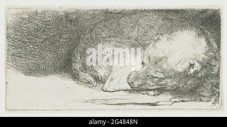 Rembrandt Harmenszoon Van Rijn - Sleeping Puppy 1640 Banque D'Images