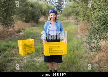 Portrait d'une femme heureuse tenant les olives récoltées dans une caisse Banque D'Images