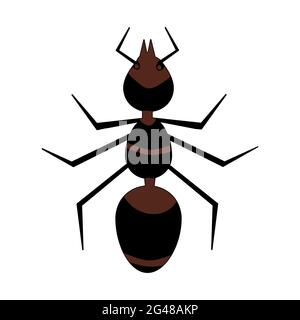 ANT isolé sur fond blanc. Icône ANT. Silhouette d'insecte. Logo ou pictogramme simple de style plat. Signe stylisé de bogue.illustration vectorielle de stock Illustration de Vecteur