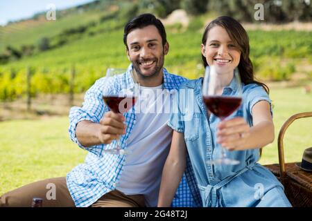 Portrait de couple heureux offrant des lunettes de vin Banque D'Images