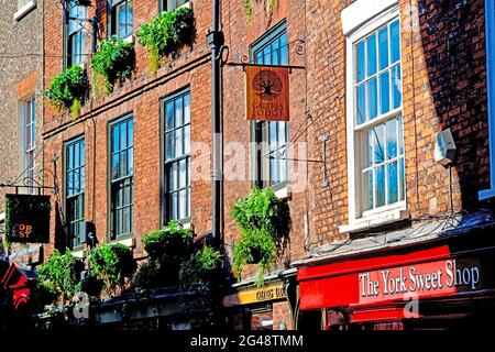 York Sweet Shop, Low Petergate, York, Angleterre Banque D'Images