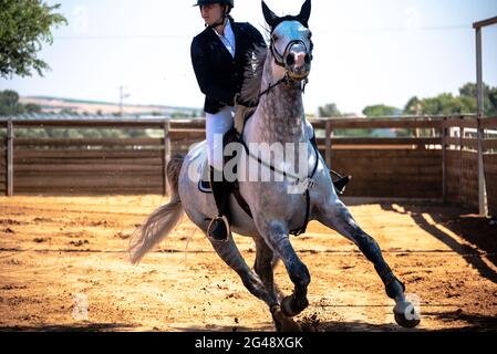 Cohen Mor et Boston de Montini. Championnat de saut à cheval d'Israël, juin 2021 Banque D'Images